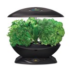 aerogarden