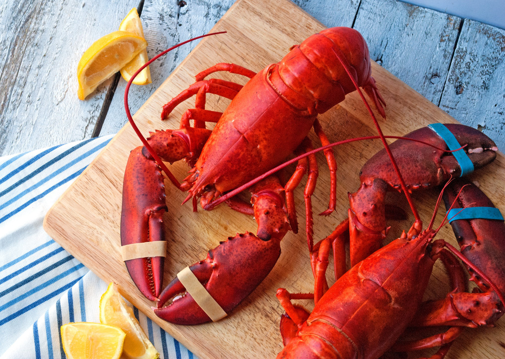 How to Steam and Pick a Live Lobster