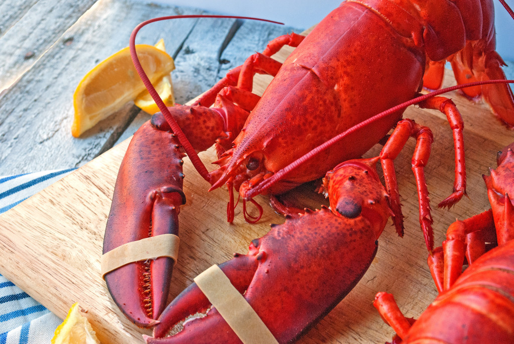 How to Steam a Live Lobster