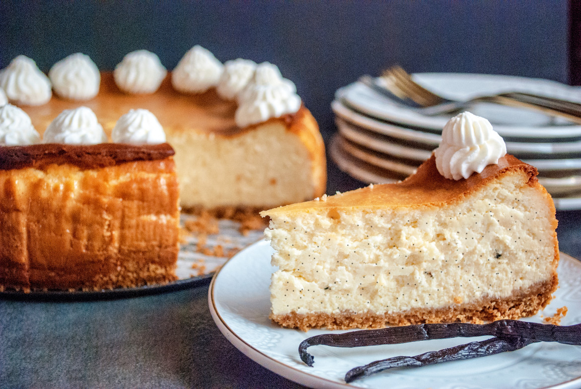 Vanilla bean cheesecake slice, whipped cream.