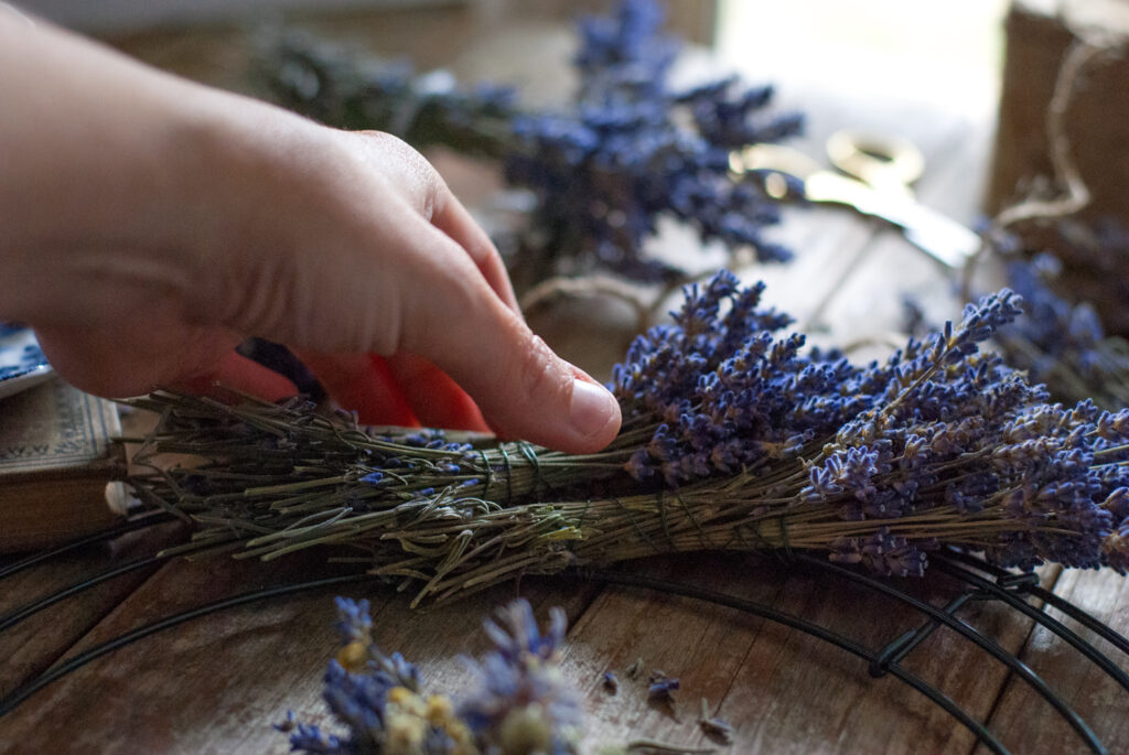 Lavender Wreath