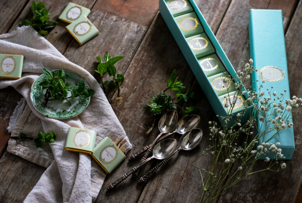 Fresh Mint Chocolate Chip Ice Cream