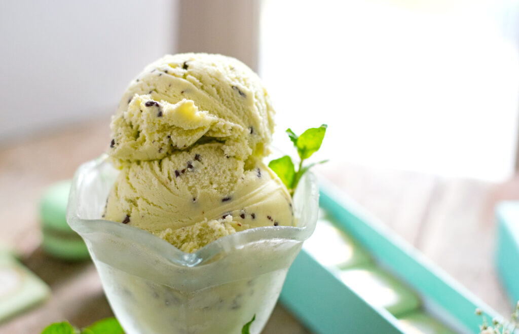 Fresh Mint Chocolate Chip Ice Cream