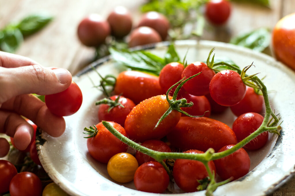 For the Love of Tomatoes